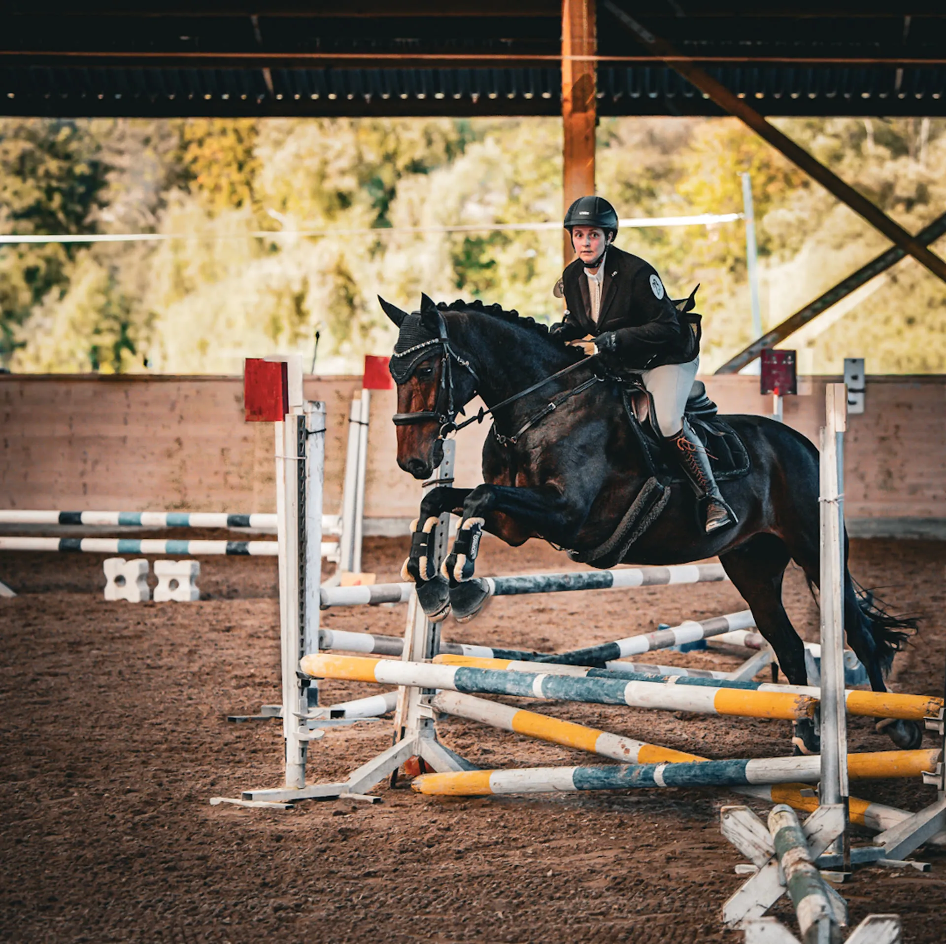 Springreiten Pferdesport Fotografie Schweiz